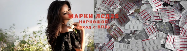 тгк Магадан
