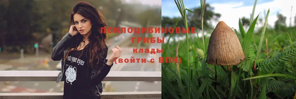 прущая мука Магас