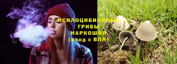 прущая мука Магас