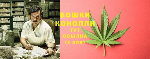 прущая мука Магас