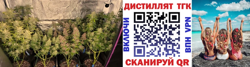 ТГК вейп с тгк  Ленинградская 